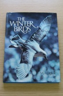 The Winter Birds: Birds of the Arctic.