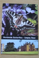 Worldwide Butterflies - Compton House.