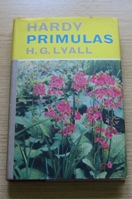Hardy Primulas.