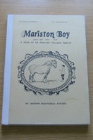 Mariston Boy - A Saga of an English Village Family: Book One 1906-1919.