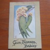 Gum-Blossom Babies.