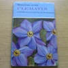 Success with Clematis.