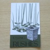 Using Rushes.