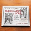 A Walk Around the Snickelways of York.