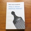 What is African American History?